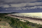 Victorian Coastline,  Australia