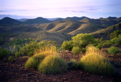 Flinders Ranges,  South Australia