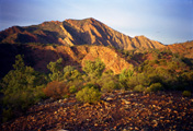 Flinders Ranges SA